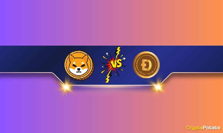 We Asked ChatGPT if Shiba Inu (SHIB) Can Flip Dogecoin (DOGE) in 2024