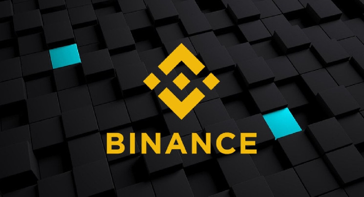 Binance’s 2023 Altcoin Investments: The Complete List of Altcoins