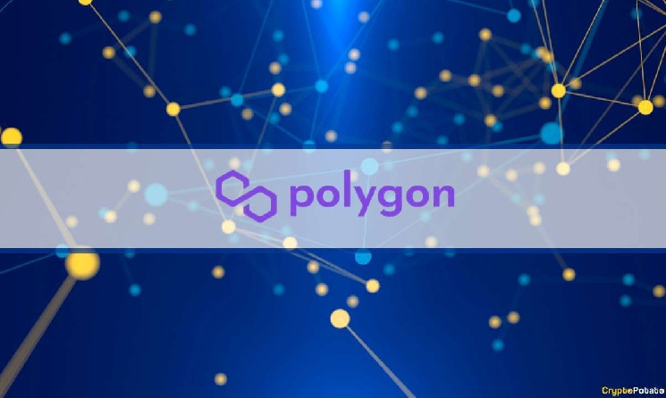 Polygon Labs’ Legal Team Pushes For OCCIP’s Oversight