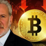 Why Isn't BTC Price Rising Despite Bitcoin Spot ETFs? Peter Schiff Explained