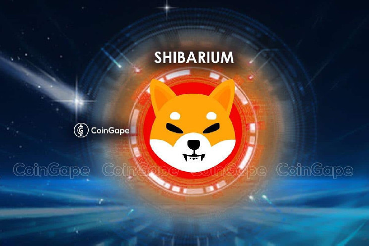 Shiba Inu's Shibarium Loses Steam, Is This the Reason for SHIB's Fall?