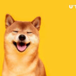 Shiba Inu Lead Wants to Reinvent Crypto Identity