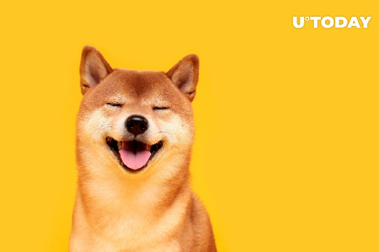 Shiba Inu Lead Wants to Reinvent Crypto Identity