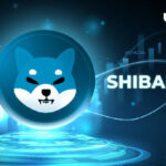 Shiba Inu's Shibarium Skyrockets Whopping 140% in Transaction Activity