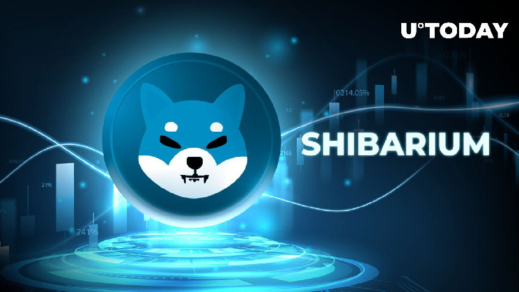 Shiba Inu’s Shibarium Sees a Massive 140% Surge in Transaction Activity