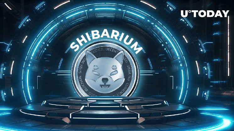 The Future of Shibarium Revealed by the Marketing Lead of SHIB