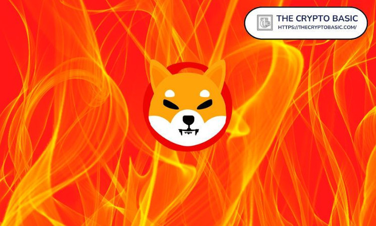 Shiba Inu Admin Issues Important Message Regarding SHIB Burns