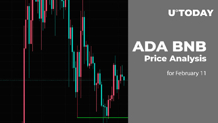 ADA and BNB Price Prediction for February 11