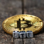 Bitcoin ETF Issuers May Dwindle by End of Year, Says Valkyrie CIO