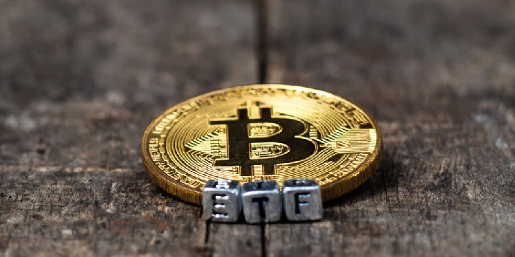 Valkyrie CIO Predicts Decline in Bitcoin ETF Issuers by Year’s End