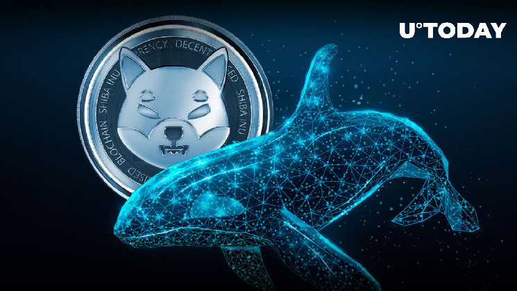 Shiba Inu Price Skyrockets by 602% as More Whales Invest in SHIBTOKEN