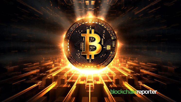 Drop in Bitcoin Wallet Activity Raises Concerns Among Traders