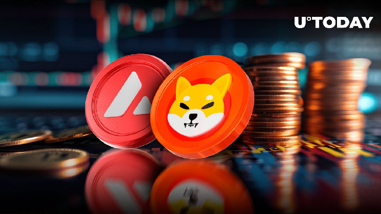 Market Reset: Shiba Inu (SHIB) Overtakes Avalanche (AVAX)