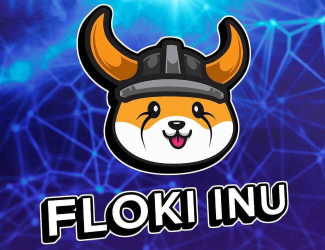 Floki Inu (FLOKI) Skyrockets 15% To Reach New All-Time High, Riding The BNB Uptrend