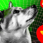 Is Shiba Inu’s Rally a Dead Cat Bounce, or the Start of a Recovery?