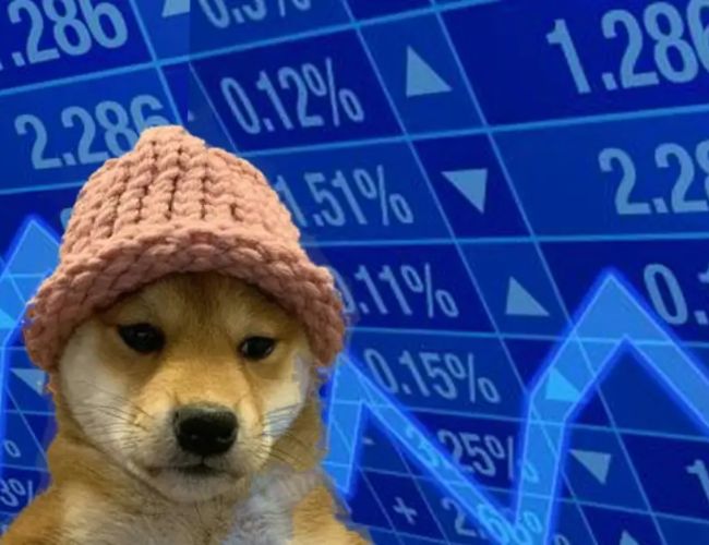 Dogwifhat (WIF) Sees 60% Weekly Surge But Analyst Warns Of Potential Retrace