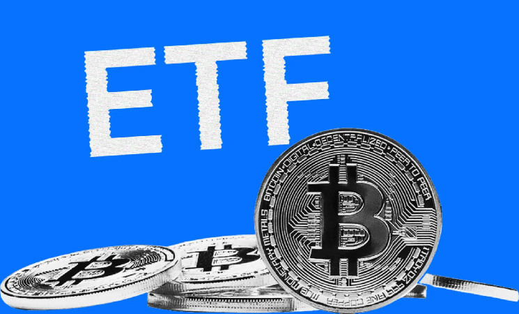 Bitcoin ETFs are flourishing with institutional interest representing 20%