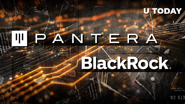 Ex-BlackRock Executive Now Part of Crypto Investment Leader Pantera Capital