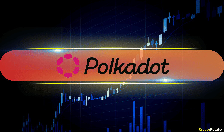 Interpreting On-Chain Data and Technical Analysis for the Price of DOT